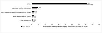 A rapid review of evidence relating to service use, experiences, and support needs of adults from minority ethnic communities along the eyecare pathway in the United Kingdom